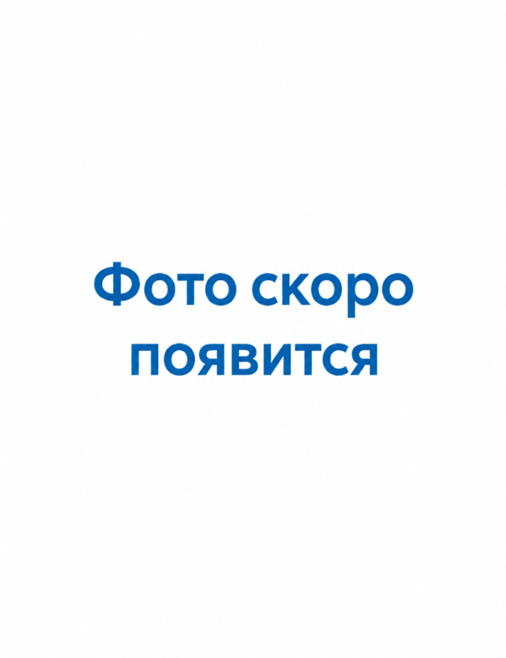 Панов Олег